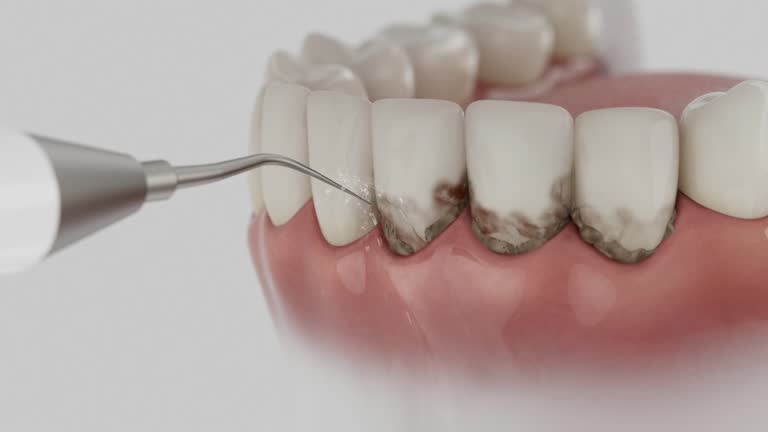 Reliable Dental contractor in Landover, MD by Dentist Open Now